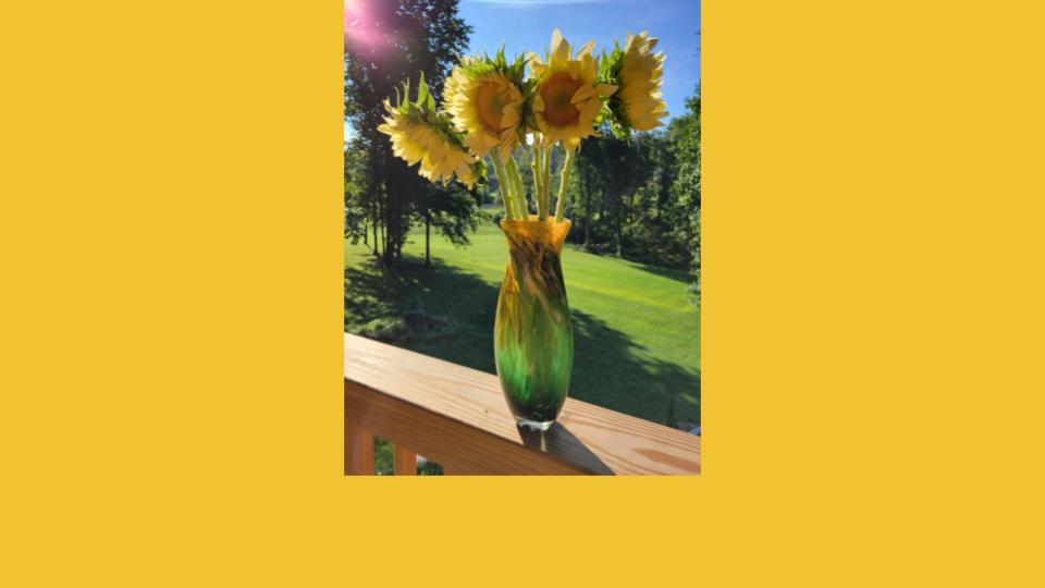 Image for Stop and Smell the Sunflowers (Mental/Emotional)